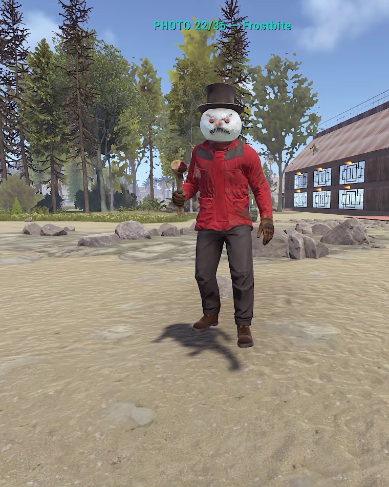 Actual in-game appearance of Frostbite
