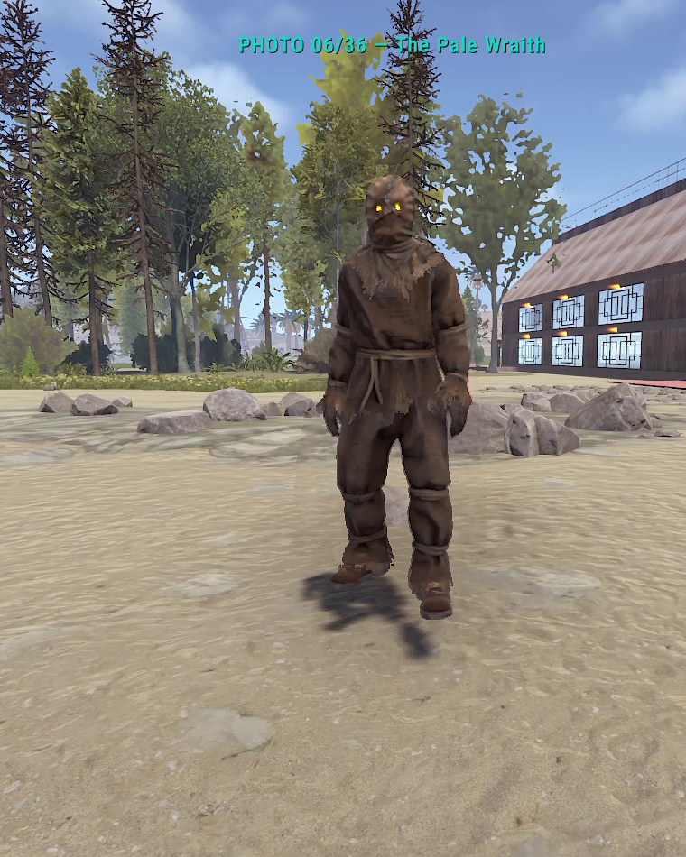 Actual in-game appearance of The Pale Wraith